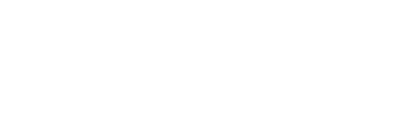 Transport Focus Webinar